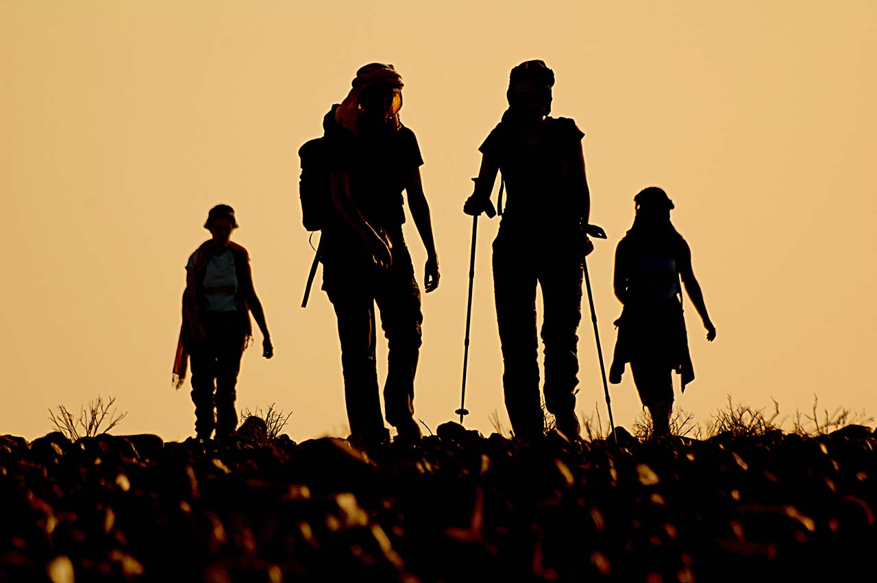 Deal Buster- Trekking Trips’ Deals